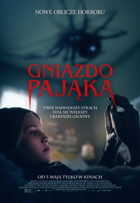 Gniazdo Pająka