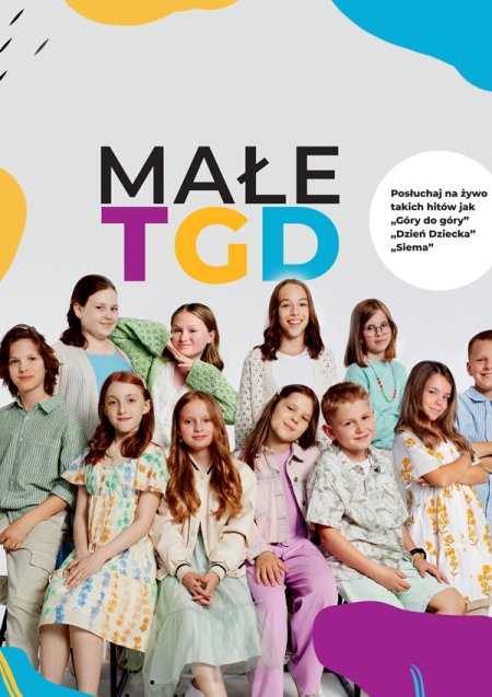 Koncert zespołu Małe TGD