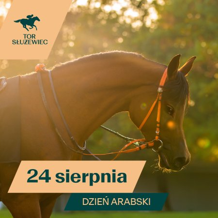Dzień Arabski - Wyścigi konne na Torze Służewiec 2025