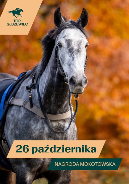 Mokotowska - Wyścigi konne na Torze Służewiec 2025