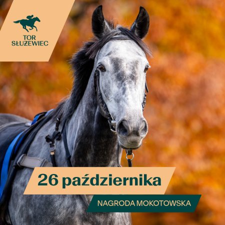Mokotowska - Wyścigi konne na Torze Służewiec 2025