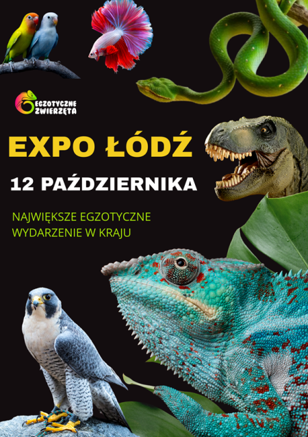 Egzotyczne zwierzęta