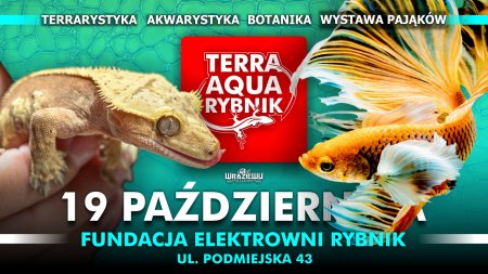 Terra Aqua Rybnik / Targi akwarystyki / Wystawa pająków / Rośliny doniczkowe