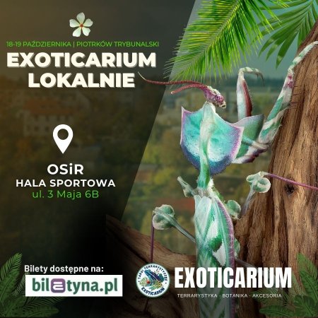 EXOTICARIUM LOKALNIE Targi Terrarystyczne Piotrków Trybunalski dwudniowe 18-19 października