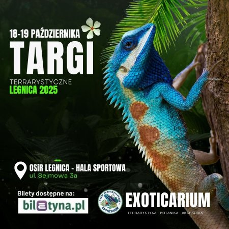 EXOTICARIUM Targi Terrarystyczne Legnica dwudniowe 18-19 października