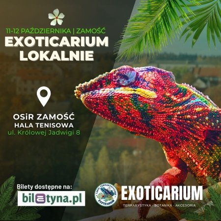 EXOTICARIUM LOKALNIE Targi Terrarystyczne Zamość dwudniowe 11-12 października