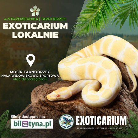EXOTICARIUM LOKALNIE Targi Terrarystyczne Tarnobrzeg dwudniowe 4-5 października