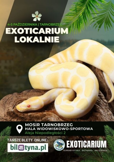 EXOTICARIUM LOKALNIE Targi Terrarystyczne Tarnobrzeg dwudniowe 4-5 października