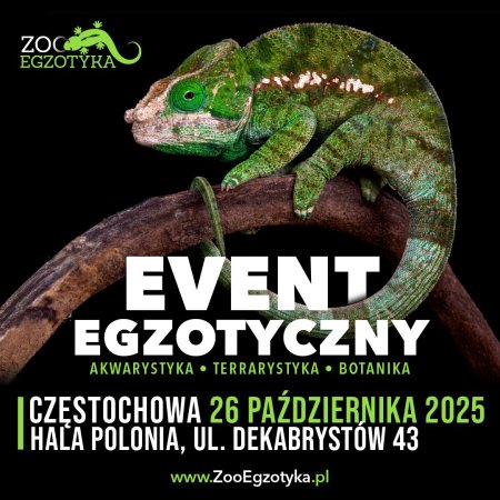 ZooEgzotyka - Częstochowa