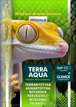 TERRA  AQUA GLIWICE / TARGI AKWARYSTYKI / PIĘKNO RĘKODZIEŁA  / WYSTAWA PAJĄKÓW