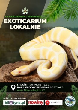 EXOTICARIUM LOKALNIE Targi Terrarystyczne Tarnobrzeg dwudniowe 4-5 października