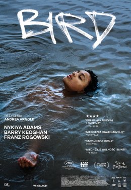 Kino Kadr: Bird