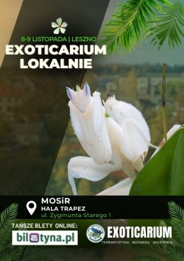 EXOTICARIUM LOKALNIE Targi Terrarystyczne Leszno dwudniowe 8-9 listopada